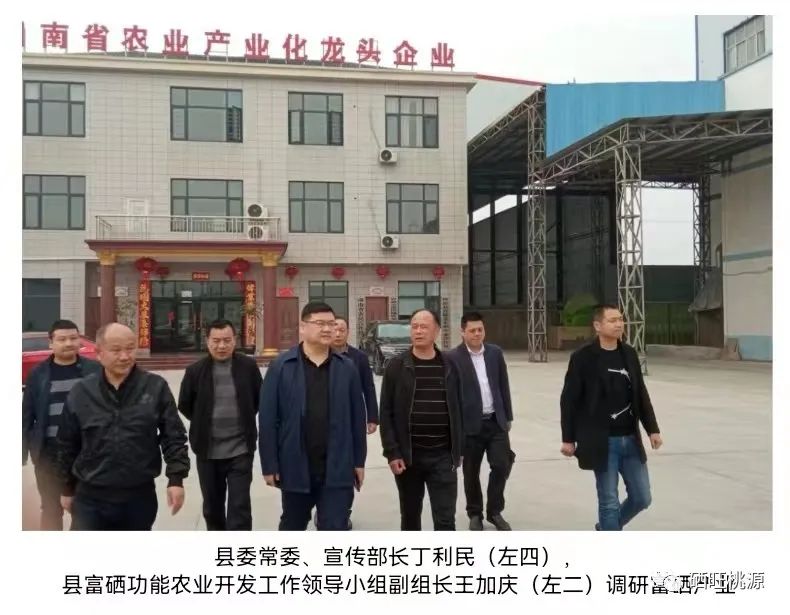 縣委常委、宣傳部長(zhǎng)丁利民調(diào)研富硒基地和預(yù)制菜產(chǎn)業(yè)